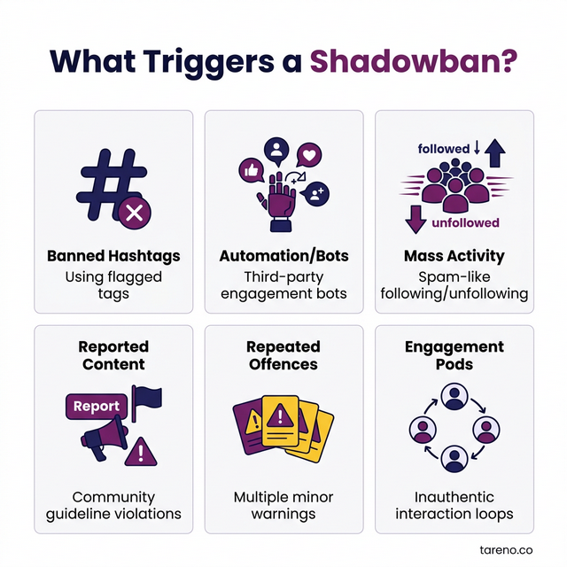What Triggers a Shadowban Overview